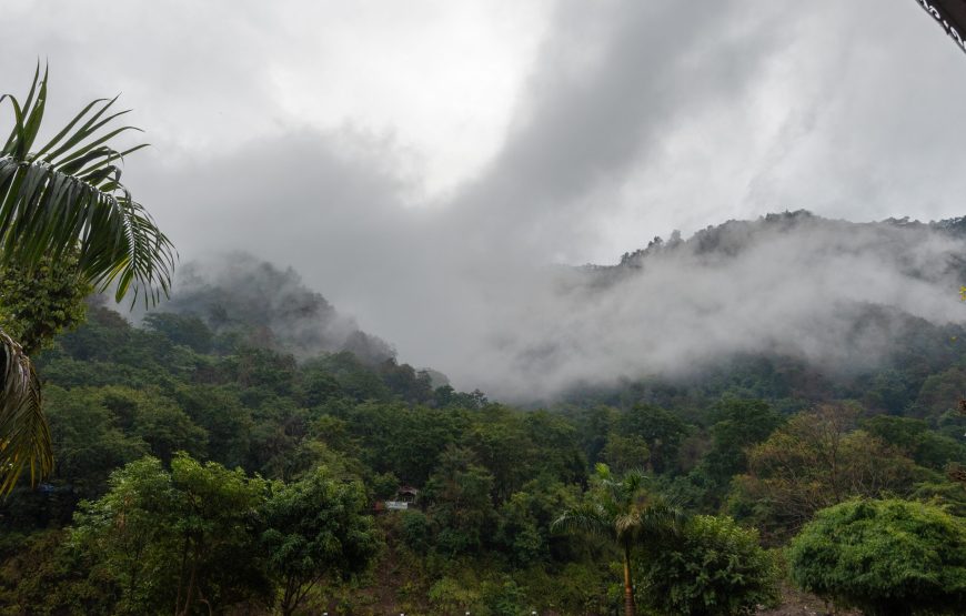 Royal River Resort Rishikesh